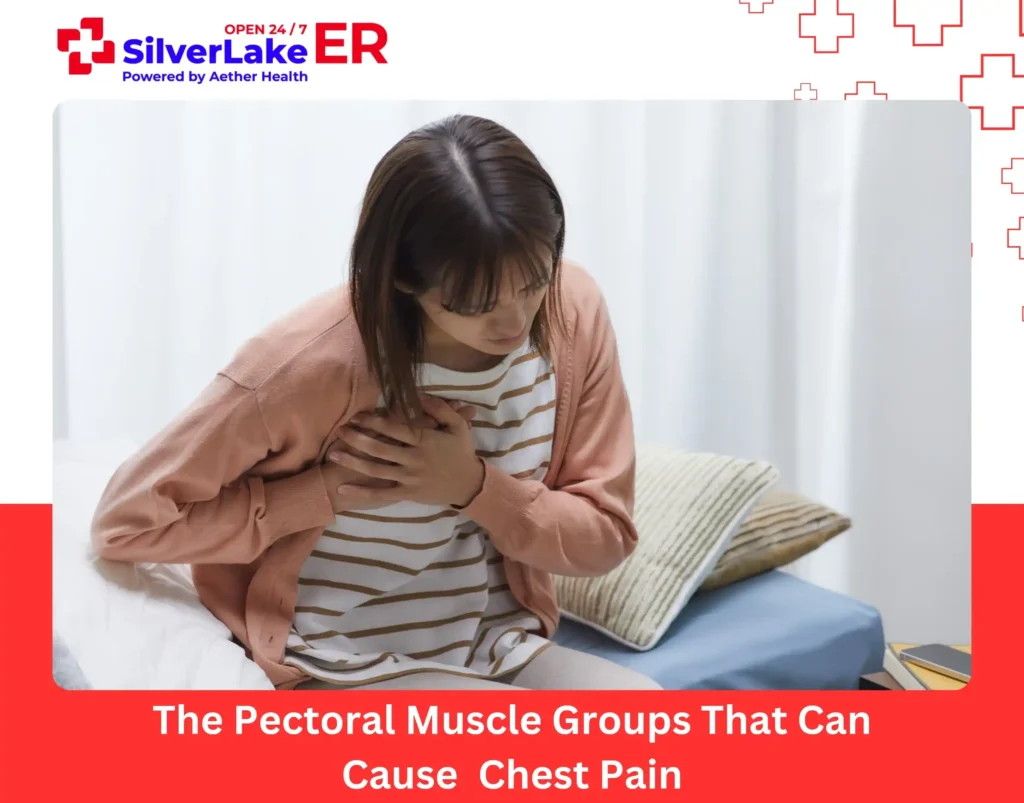 The Pectoral Muscle Groups That Can Cause Chest Pain